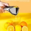 Bagrox Lemon Squeezer-Free Shipping