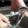Bagrox Lemon Squeezer-Free Shipping