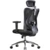 SIHOO M18 Ergonomic Office Chair, Adjustable Lumbar Support, 330 lb, Black