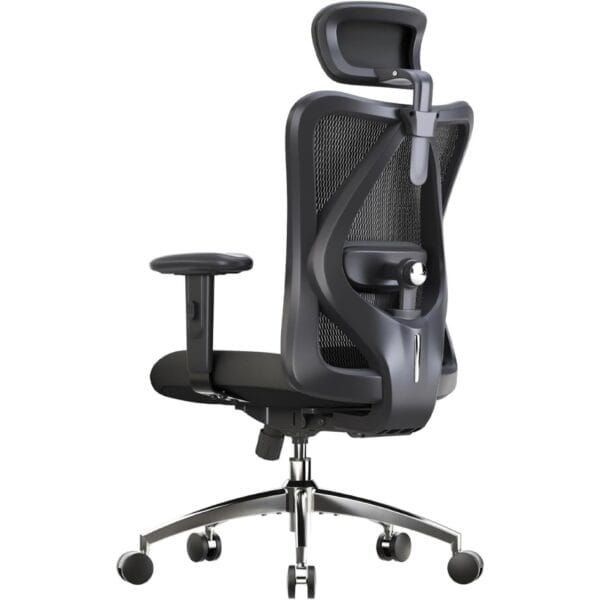 SIHOO M18 Ergonomic Office Chair, Adjustable Lumbar Support, 330 lb, Black