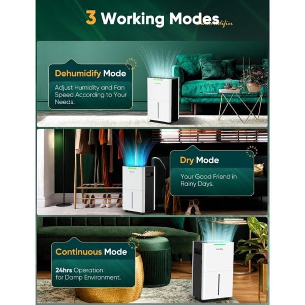 Dehumidifiers for Home Damp Compressor Dehumidifier with Laundry Dry