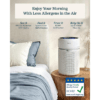 5 Levoit Eleva 300X Air Purifier