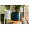 5 Sonos Era 100 SL - Compact Speaker (White)