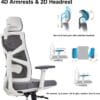 HOLLUDLE Ergonomic Office Chair with Adaptive Backrest, High Back Computer Desk Chair with 4D Armrests