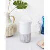 Bose Portable Smart Speaker—With Alexa Voice Control Built in, Silver