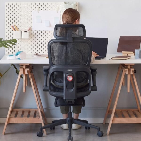 SIHOO B300 Pro Ergonomic Office Chair with Footrest, 4-Way Lumbar Support