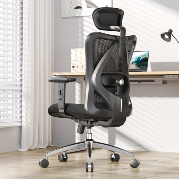 SIHOO M18 Ergonomic Office Chair, Adjustable Lumbar Support, 330 lb, Black