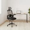 Realm of Thrones Mesh Ergonomic Office Chair, Back Support and Long Hours
