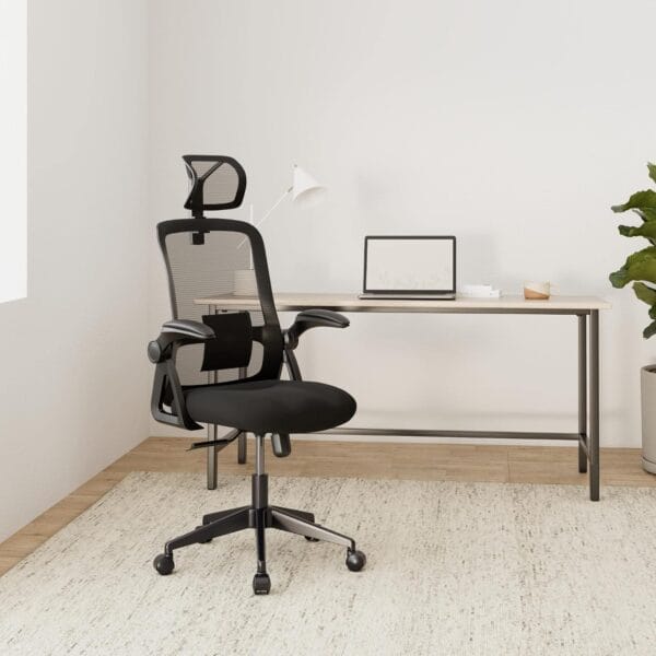 Realm of Thrones Mesh Ergonomic Office Chair, Back Support and Long Hours