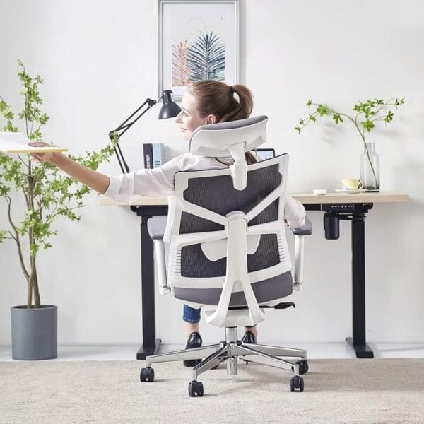 HOLLUDLE Ergonomic Office Chair with Adaptive Backrest, High Back Computer Desk Chair with 4D Armrests
