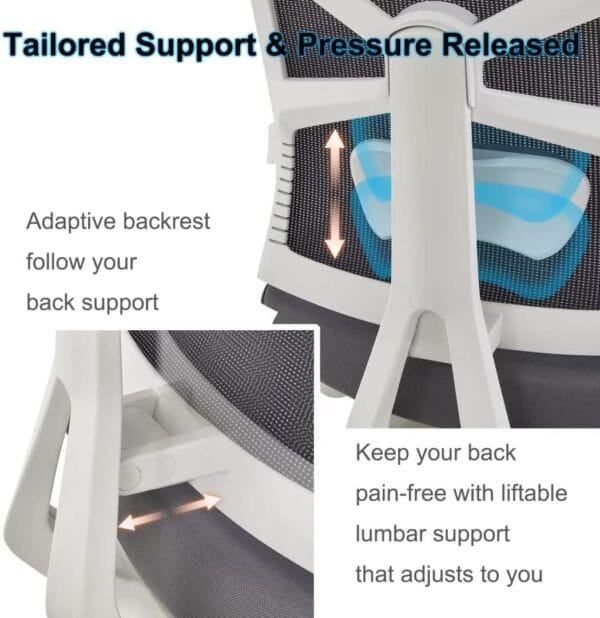 HOLLUDLE Ergonomic Office Chair with Adaptive Backrest, High Back Computer Desk Chair with 4D Armrests