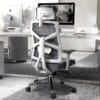 HOLLUDLE Ergonomic Office Chair with Adaptive Backrest, High Back Computer Desk Chair with 4D Armrests