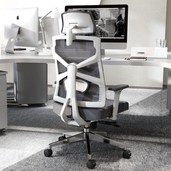 HOLLUDLE Ergonomic Office Chair with Adaptive Backrest, High Back Computer Desk Chair with 4D Armrests
