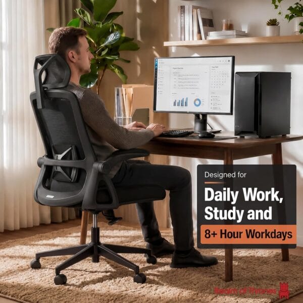 Realm of Thrones Mesh Ergonomic Office Chair, Back Support and Long Hours