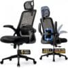 Realm of Thrones Mesh Ergonomic Office Chair, Back Support and Long Hours