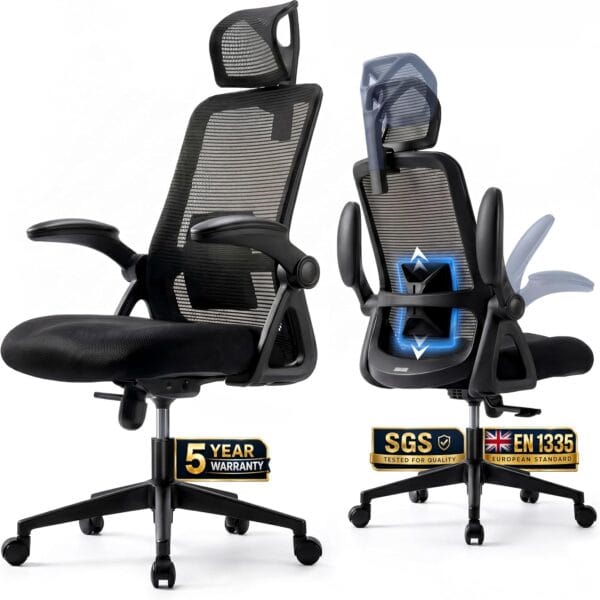 Realm of Thrones Mesh Ergonomic Office Chair, Back Support and Long Hours