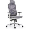 HOLLUDLE Ergonomic Office Chair with Adaptive Backrest, High Back Computer Desk Chair with 4D Armrests