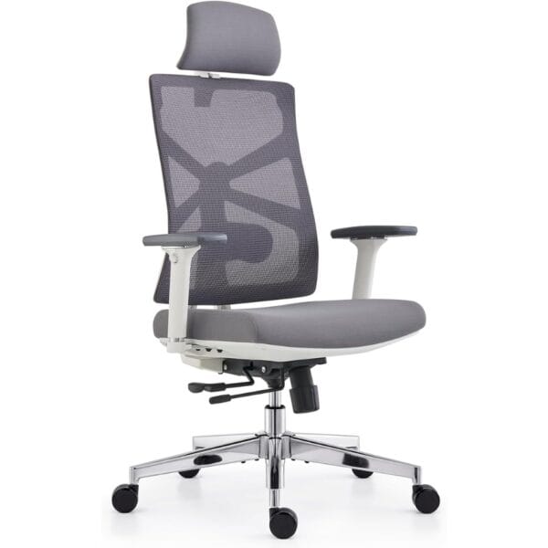 HOLLUDLE Ergonomic Office Chair with Adaptive Backrest, High Back Computer Desk Chair with 4D Armrests