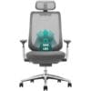 COLAMY Ergonomic Mesh Office Chair, High Back Computer Executive Desk Chair with Adjustable Headrest and 4D Arms
