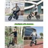 Finbike U4 Electric Bike