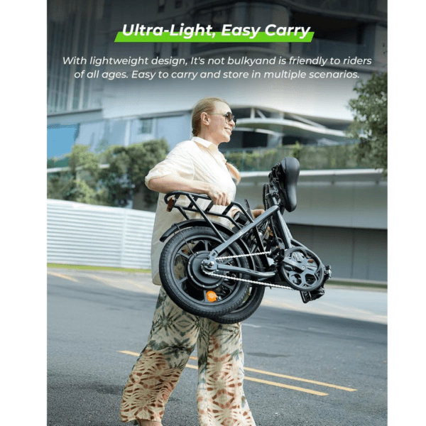 Finbike U4 Electric Bike