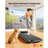 Acezoe Folding Walking Pad with Incline and Adjustable Hight