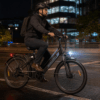 E Bikes for Men Adults, 250W Electric Bike with 39nm Torque