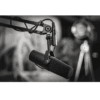 Shure SM7B Dynamic Vocal Microphone for Podcasting & Streaming