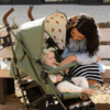 Cosatto Supa 3 Pushchair with Footmuff, (Hoglet)