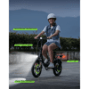 Finbike U4 Electric Bike