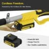 Cordless Pole Hedge Trimmer, PHIWOS 2.0Ah Battery and Charger Include