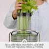 61TXK90h8HL._AC_SL1080_ Sage Nutri Juicer Cold, Centrifugal Cold Juicer, Silver