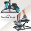 Sunny Health & Fitness Twist Stair Stepper w/Handlebar for Home Workouts