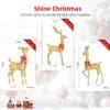 HOYECHI Lighted Christmas Decoration Deer 3 Piece