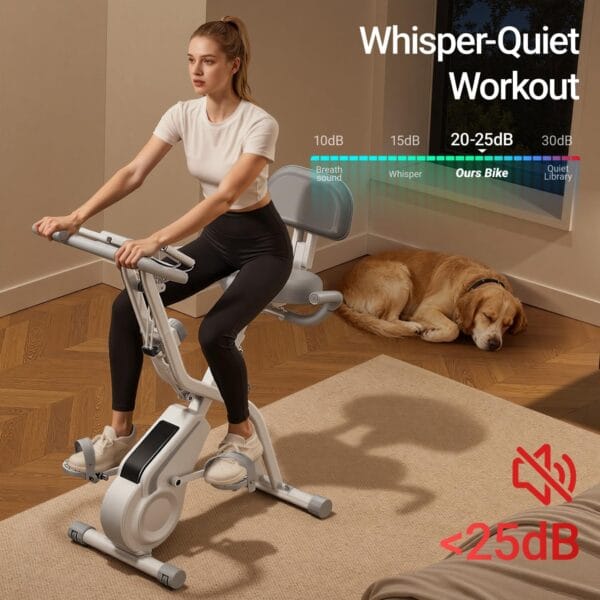 Home Exercise Bike Fitness Bike Silent with Adjustable Resistance