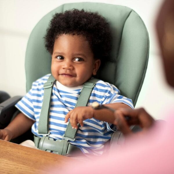 Maxi-Cosi Minla Evolutive Highchair, 0-60 kg, Essential Graphite