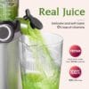 Anybear Cold Press Juicer 200W Slow Juicer