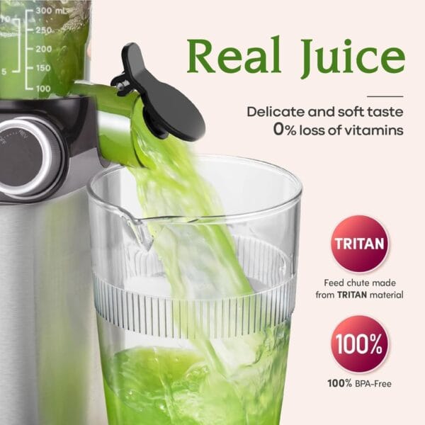 Anybear Cold Press Juicer 200W Slow Juicer