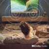 Philips 40PFS6000 2K HD LED Smart TV - 40 Inch Display with Pixel Plus, Titan OS Platform and Dolby Digital Sound, Works with Alexa and Google Voice Assistant [Energy Class E]