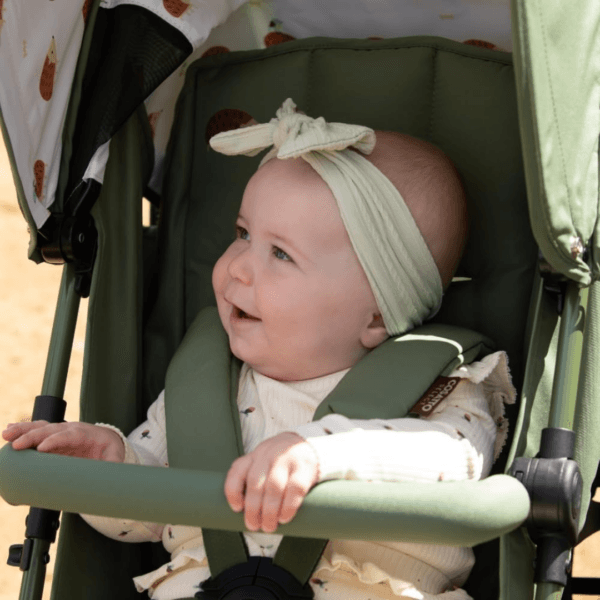Cosatto Supa 3 Pushchair with Footmuff, (Hoglet)