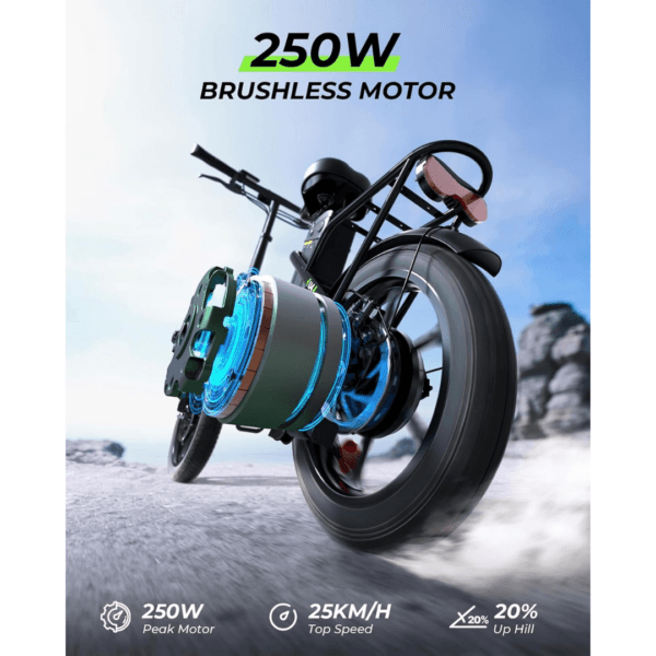 Finbike U4 Electric Bike