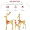 HOYECHI Lighted Christmas Decoration Deer 3 Piece