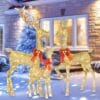 HOYECHI Lighted Christmas Decoration Deer 3 Piece