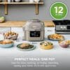 Ninja Speedi 12-in-1 Multi-Cooker, 5.7L Cooking Pot, Stone Gold ON500UKSTGD