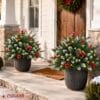 2-Pack Prelit Christmas Pot Inserts with Pinecones & Berries