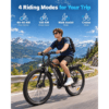 29" Electric Mountain Bike for Adults