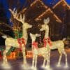 HOYECHI Lighted Christmas Decoration Deer 3 Piece